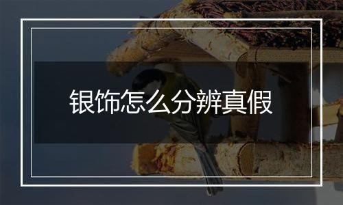 银饰怎么分辨真假