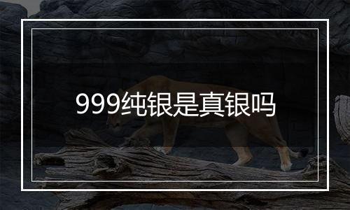 999纯银是真银吗