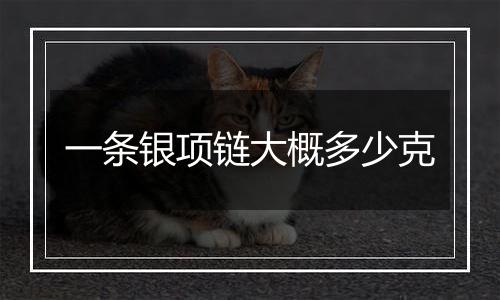 一条银项链大概多少克