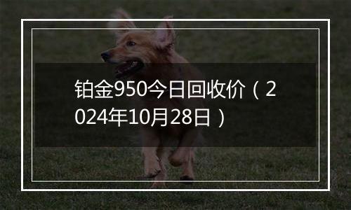 铂金950今日回收价(2024年10月28日)
