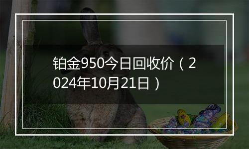 铂金950今日回收价(2024年10月21日)