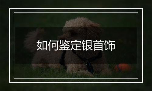 如何鉴定银首饰