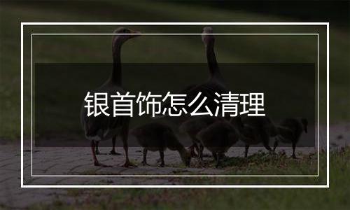 银首饰怎么清理