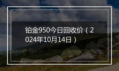 铂金950今日回收价(2024年10月14日)