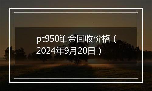 pt950铂金回收价格(2024年9月20日)