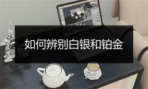 如何辨别白银和铂金