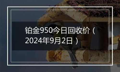 铂金950今日回收价（2024年9月2日）
