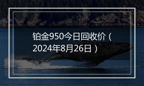铂金950今日回收价（2024年8月26日）