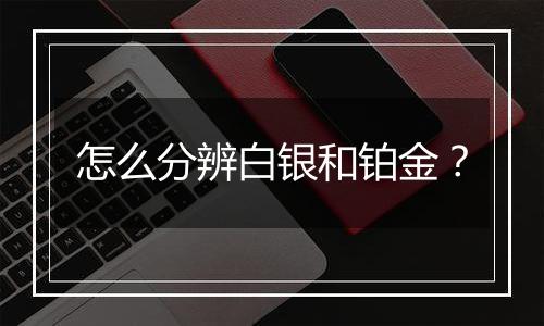 怎么分辨白银和铂金？