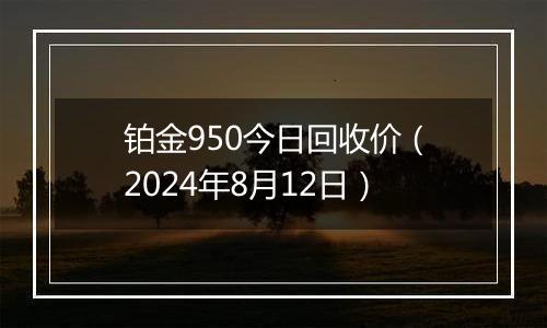 铂金950今日回收价（2024年8月12日）