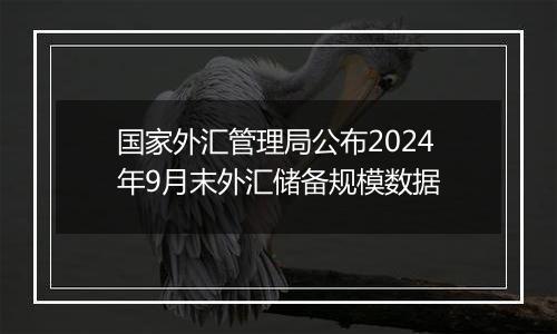 国家外汇管理局公布2024年9月末外汇储备规模数据