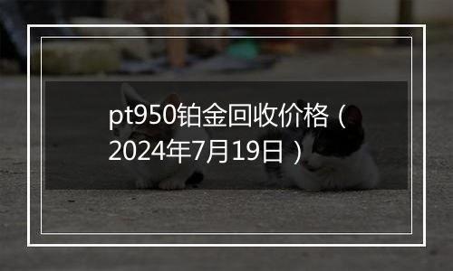 pt950铂金回收价格(2024年7月19日)