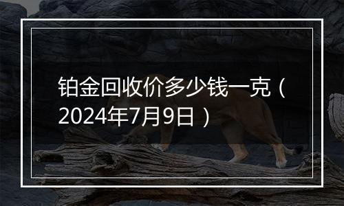 铂金回收价多少钱一克(2024年7月9日)