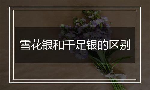 雪花银和千足银的区别