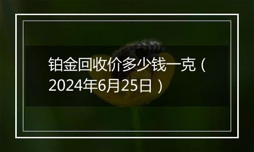铂金回收价多少钱一克（2024年6月25日）