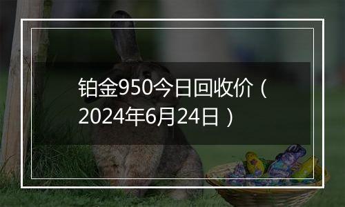 铂金950今日回收价（2024年6月24日）