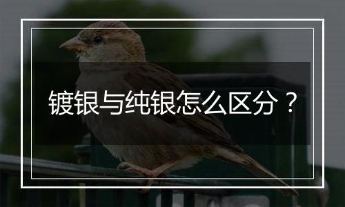 镀银与纯银怎么区分?