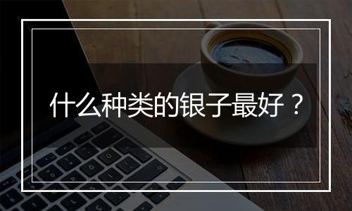 什么种类的银子最好?