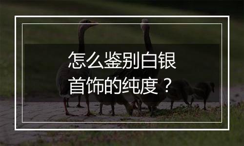 怎么鉴别白银首饰的纯度?