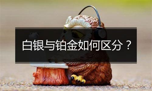 白银与铂金如何区分?