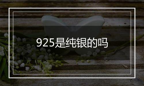 925是纯银的吗
