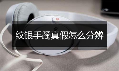 纹银手躅真假怎么分辨