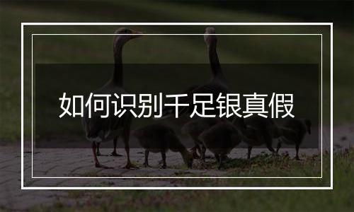 如何识别千足银真假