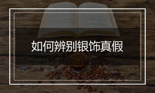 如何辨别银饰真假