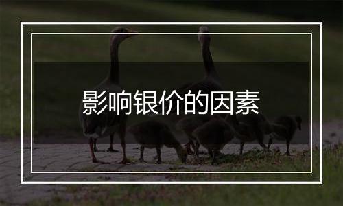 影响银价的因素