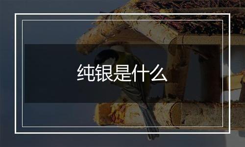 纯银是什么
