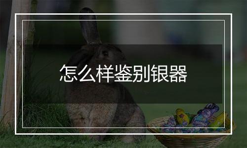 怎么样鉴别银器