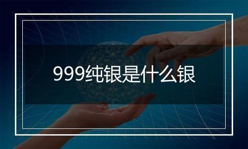 999纯银是什么银