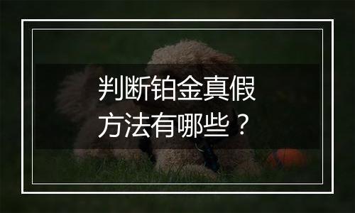 判断铂金真假方法有哪些？