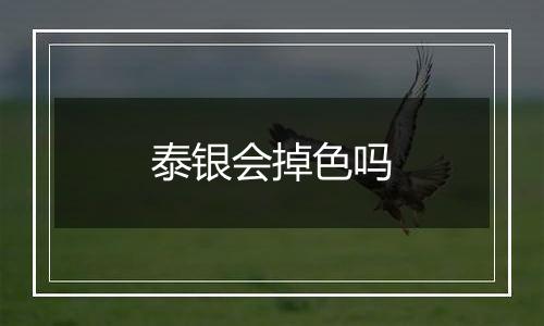泰银会掉色吗