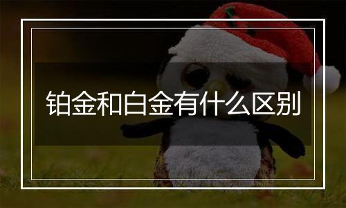 铂金和白金有什么区别