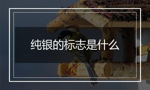 纯银的标志是什么