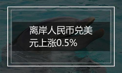 离岸人民币兑美元上涨0.5%