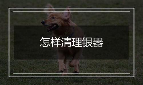 怎样清理银器