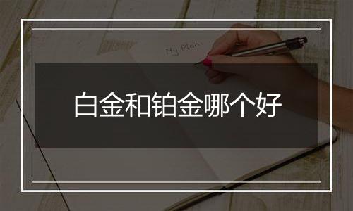 白金和铂金哪个好