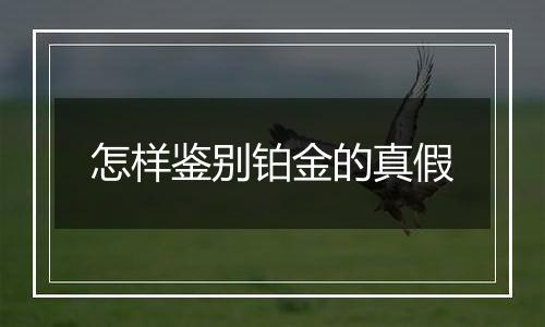 怎样鉴别铂金的真假