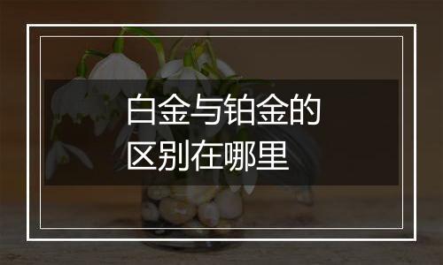 白金与铂金的区别在哪里