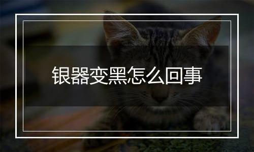 银器变黑怎么回事