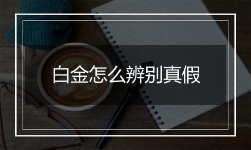 白金怎么辨别真假