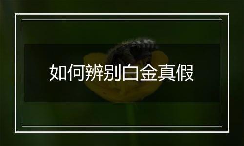 如何辨别白金真假