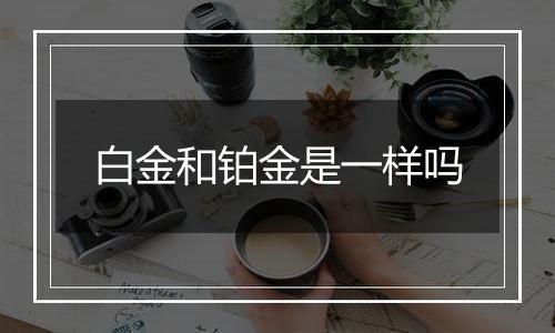 白金和铂金是一样吗