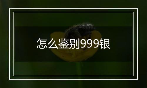 怎么鉴别999银