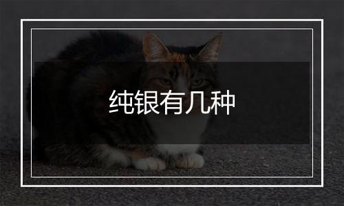 纯银有几种