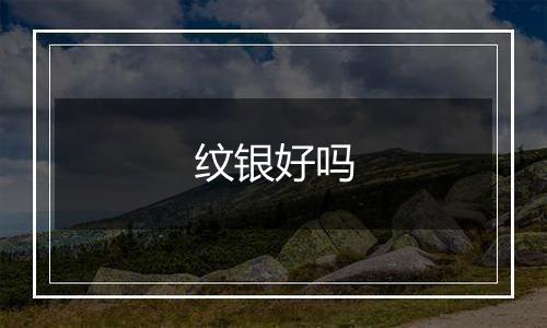 纹银好吗