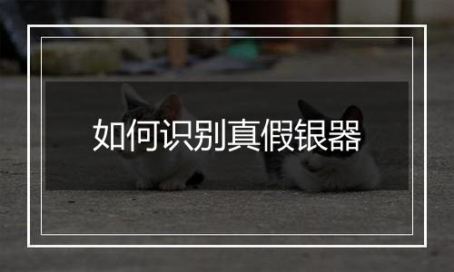 如何识别真假银器