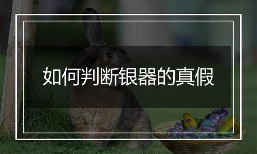 如何判断银器的真假
